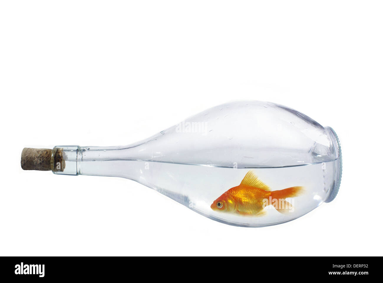 Petit poisson d'or dans la bouteille avec de l'eau Banque D'Images