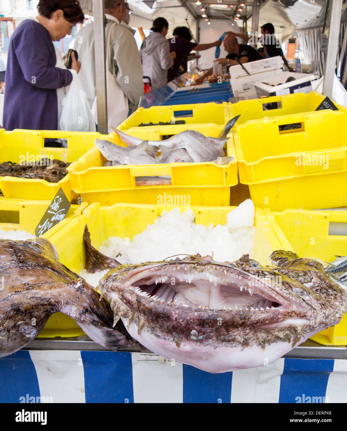 Marché du poisson en décrochage Duclair, Normandie, France Banque D'Images