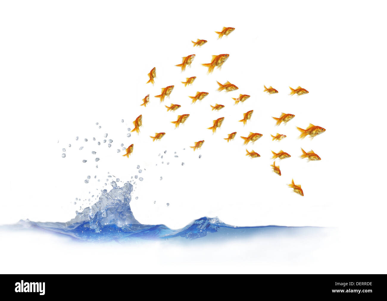 Banc de poissons sautant hors de l'eau Banque D'Images