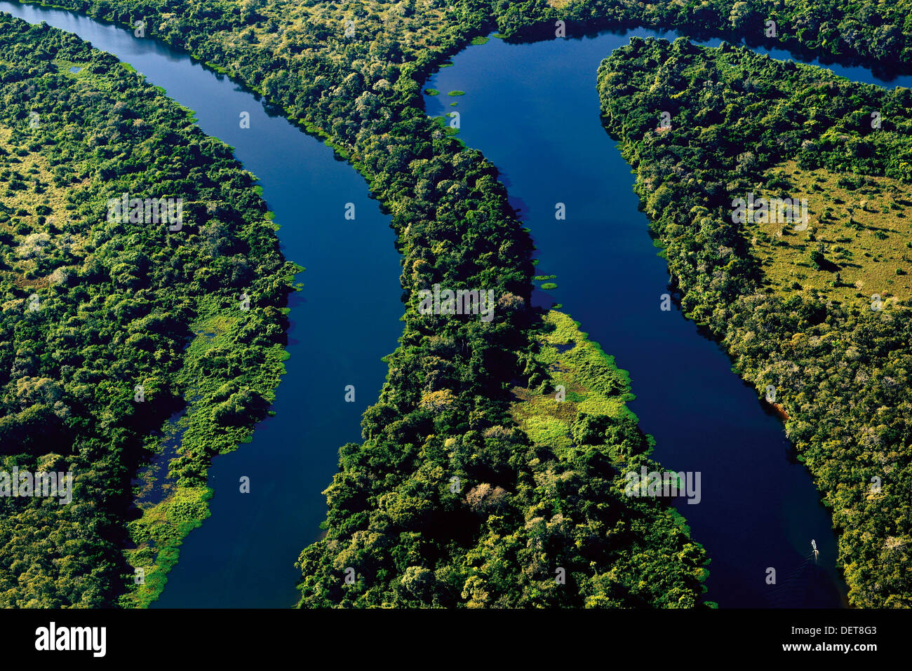 Brésil, Pantanal : photographie aérienne de Rio Claro au cours de vol du Cessna Banque D'Images