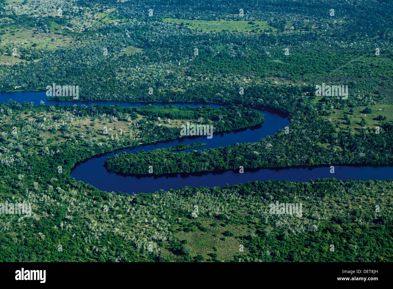 Brésil, Pantanal : photographie aérienne de Rio Claro au cours de vol du Cessna Banque D'Images