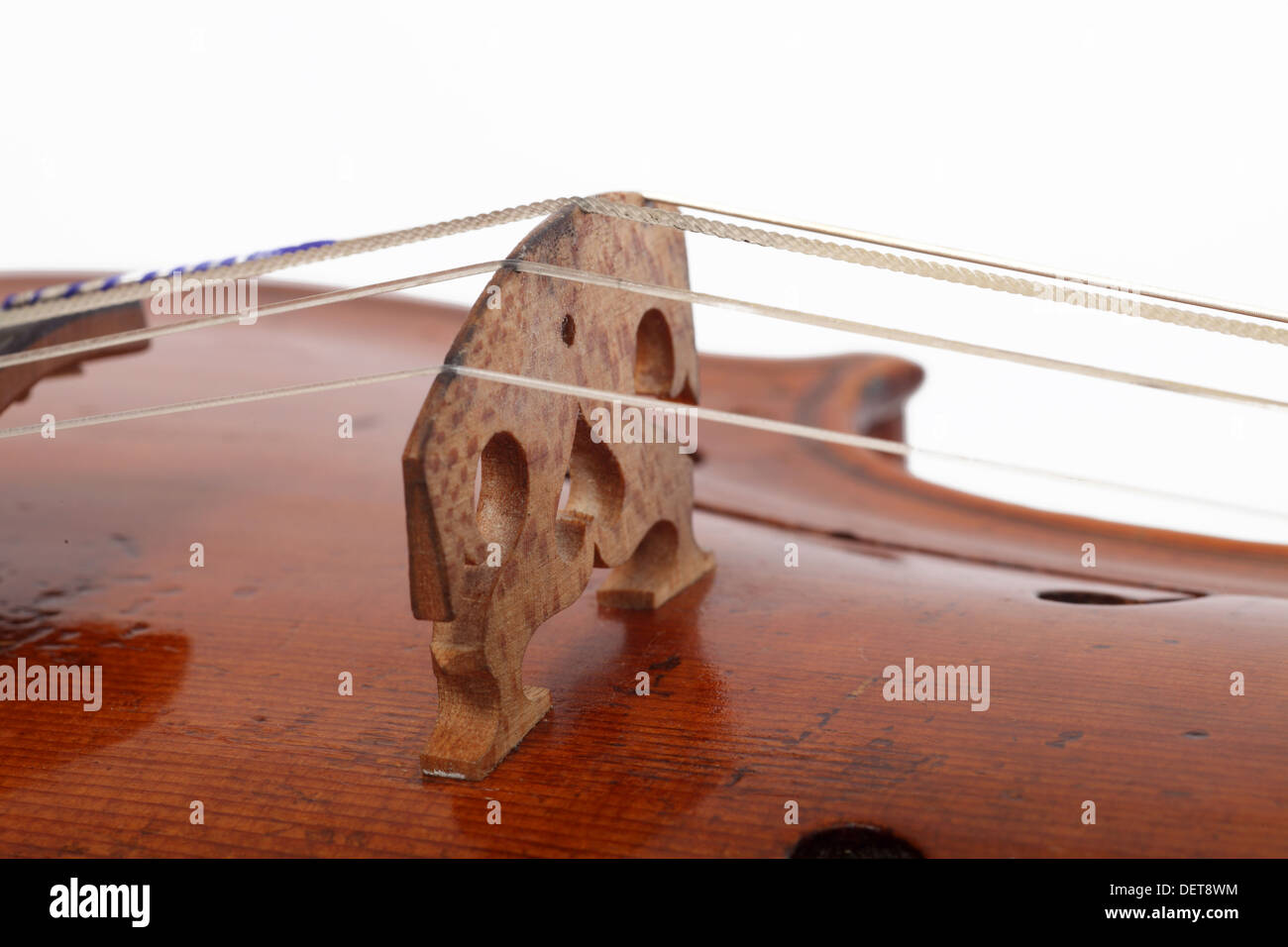 Pont sur un violon violon sous la pression des cordes Banque D'Images