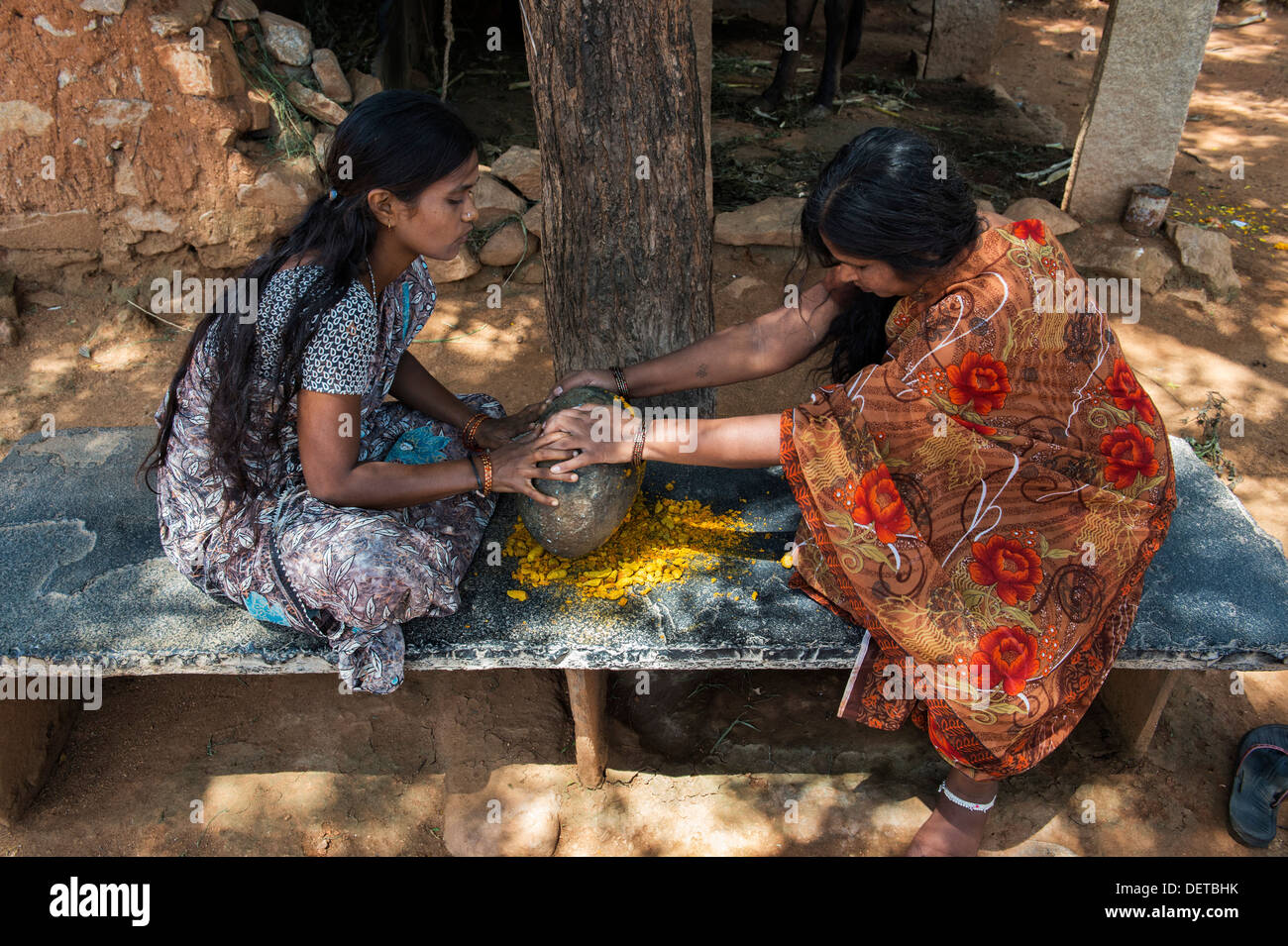 Deux femmes indiennes curcuma poudre de racines de broyage avec une pierre ronde dans un village de l'Inde rurale. L'Andhra Pradesh, Inde Banque D'Images