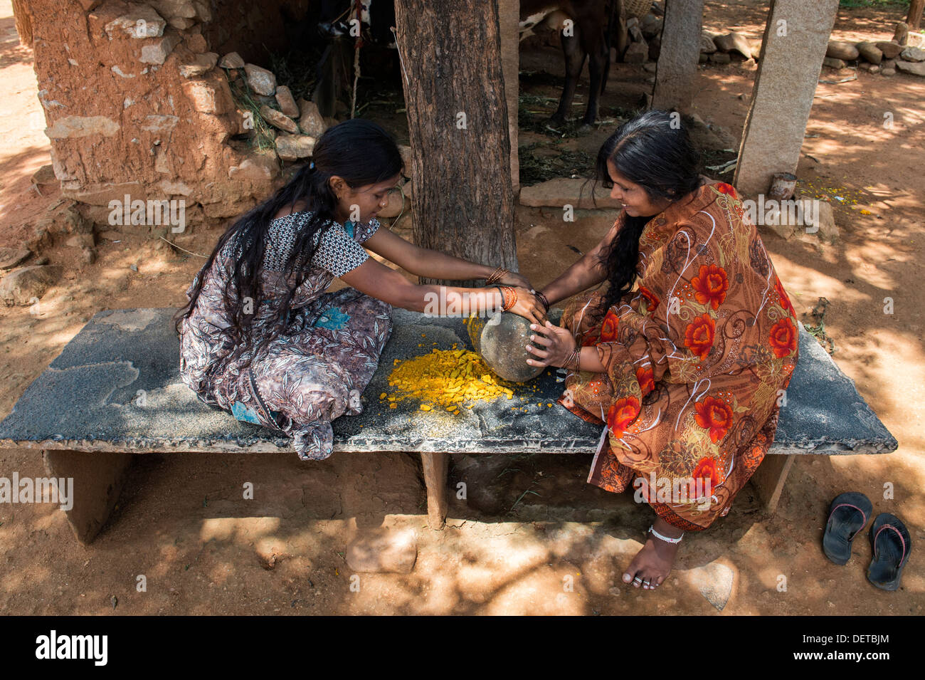 Deux femmes indiennes curcuma poudre de racines de broyage avec une pierre ronde dans un village de l'Inde rurale. L'Andhra Pradesh, Inde Banque D'Images