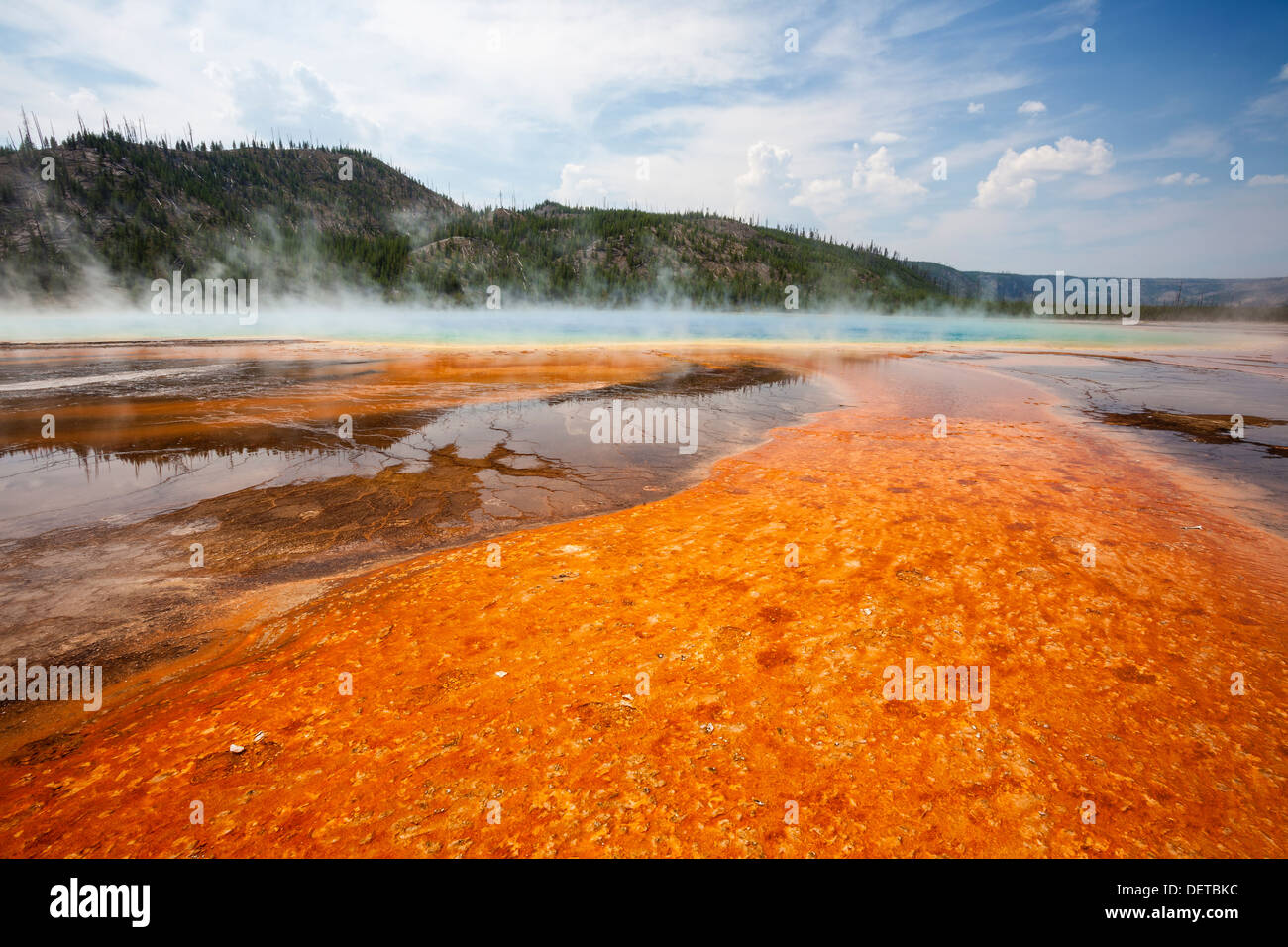 Tapis de bactéries colorées entourant Grand Prismatic Spring, Midway Geyser Basin, Parc National de Yellowstone, Wyoming Banque D'Images