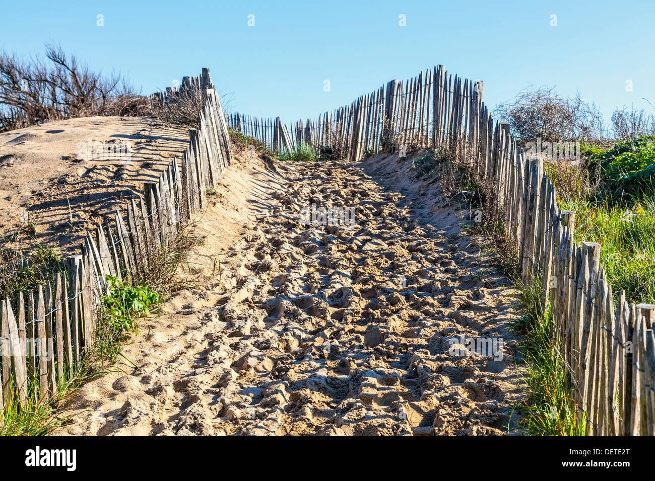 Sentier entre les barrières en bois sur les dunes de l'Atlantique en Bretagne, dans le nord-ouest de la France. Banque D'Images