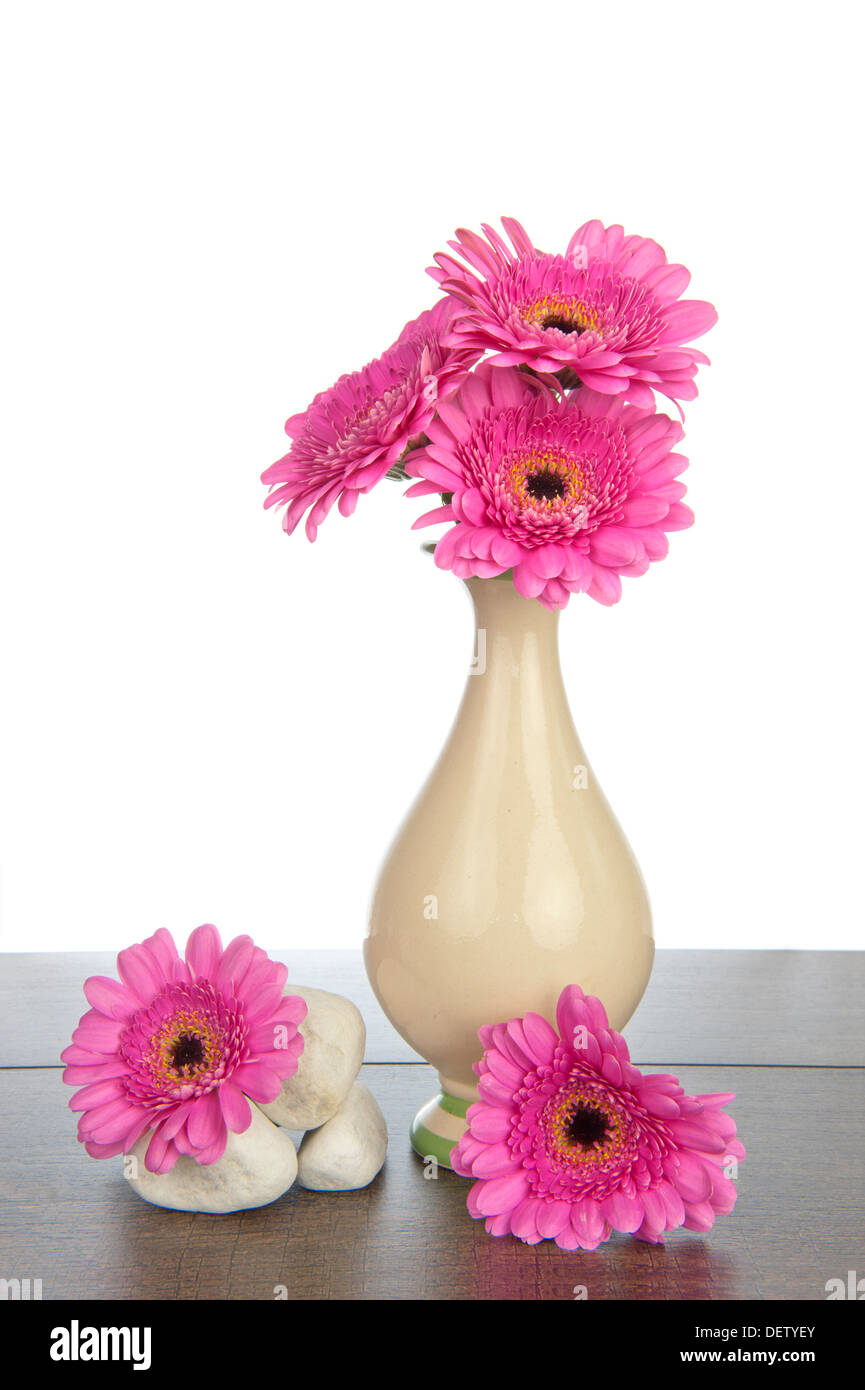 Gerbera rose dans un vase avec des tas de rochers blancs sur une étagère en bois brun foncé Banque D'Images