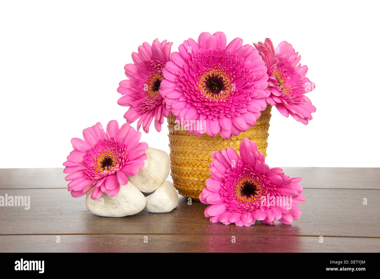 Gerbera rose en jaune panier de paille avec des tas de rochers blancs sur une étagère en bois brun foncé Banque D'Images