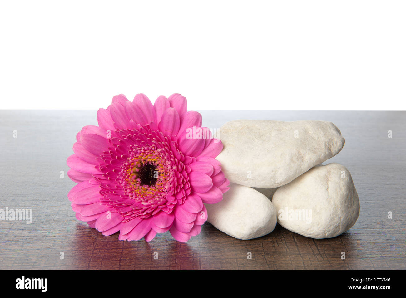 Pile de pierres blanches avec un Gerbera rose sur une étagère en bois brun foncé Banque D'Images