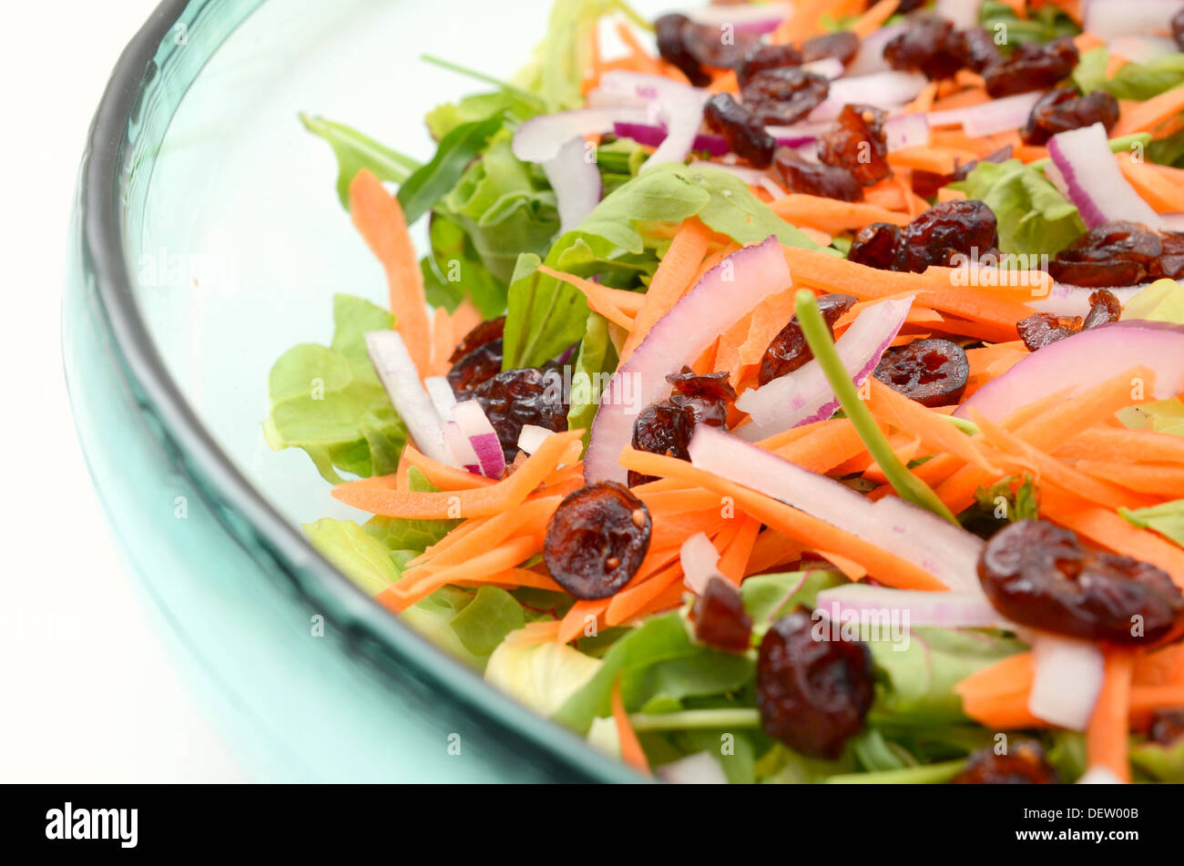 Salade colorée mixtes de cranberry et de carottes avec feuilles de laitue et de bébé Banque D'Images
