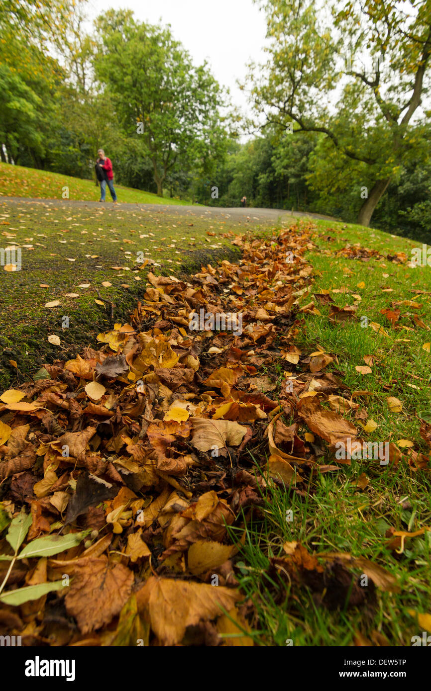 Les feuilles d'automne et les feuilles couleur rouille ce qui porte à l'automne à Glasgow, Ecosse, UK 2013. Marron, orange et rouge Banque D'Images