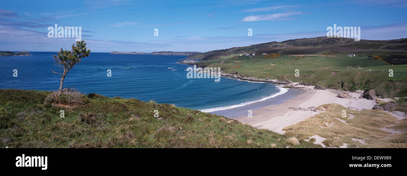 Vue panoramique sur la plage de Coldbackie Écosse Caithness avec sable blanc et mer bleue. Petit arbre sur la falaise. Banque D'Images