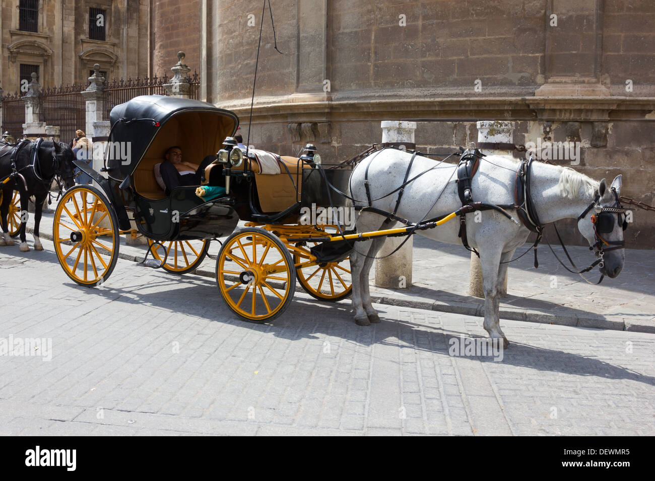 Un cheval et touristiques avec ride piège pilote dormir dans la ville de Séville au sud de l'Espagne Banque D'Images