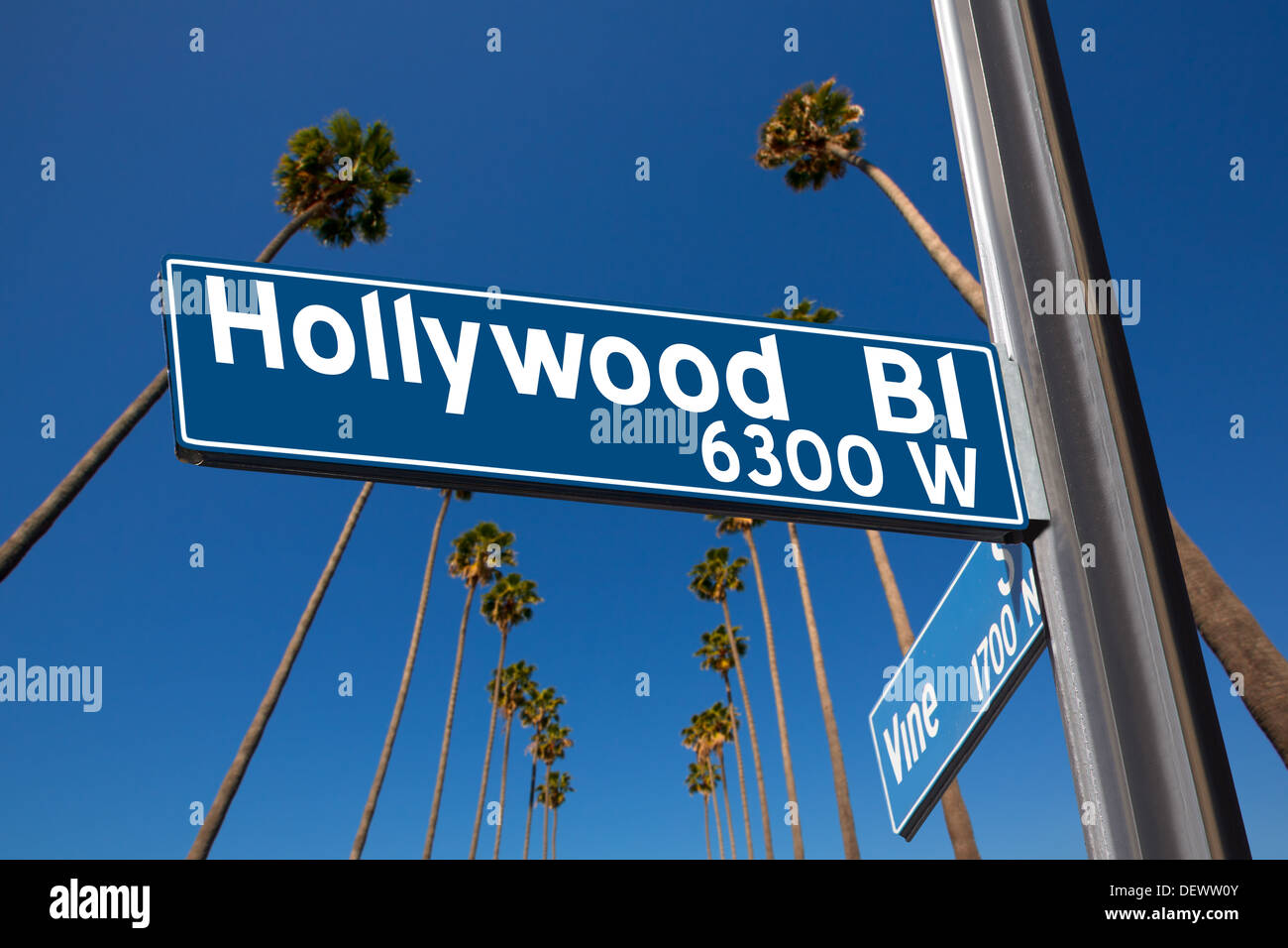 Hollywood Boulevard avec vine sign illustration sur fond de palmiers Banque D'Images