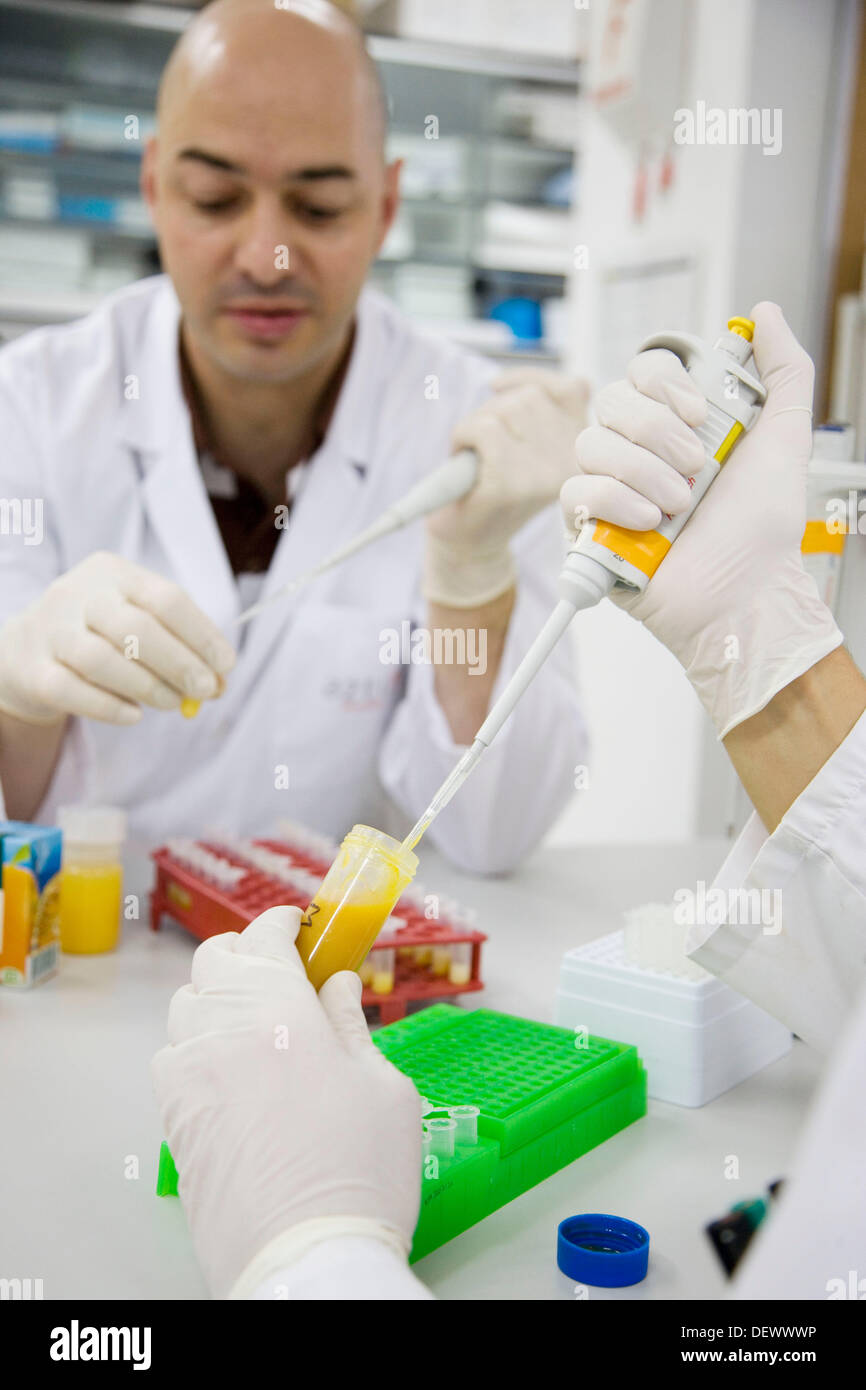 Laboratoire de biologie moléculaire. La préparation des échantillons pour détecter l'ajout de la mandarine au jus d'orange avec les techniques de l'ADN. Banque D'Images
