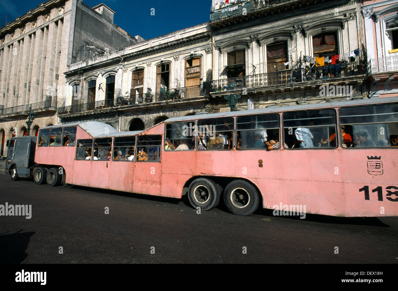La Havane Cuba Bus & Passagers - Camel - Camions réalisés dans des bus  Photo Stock - Alamy