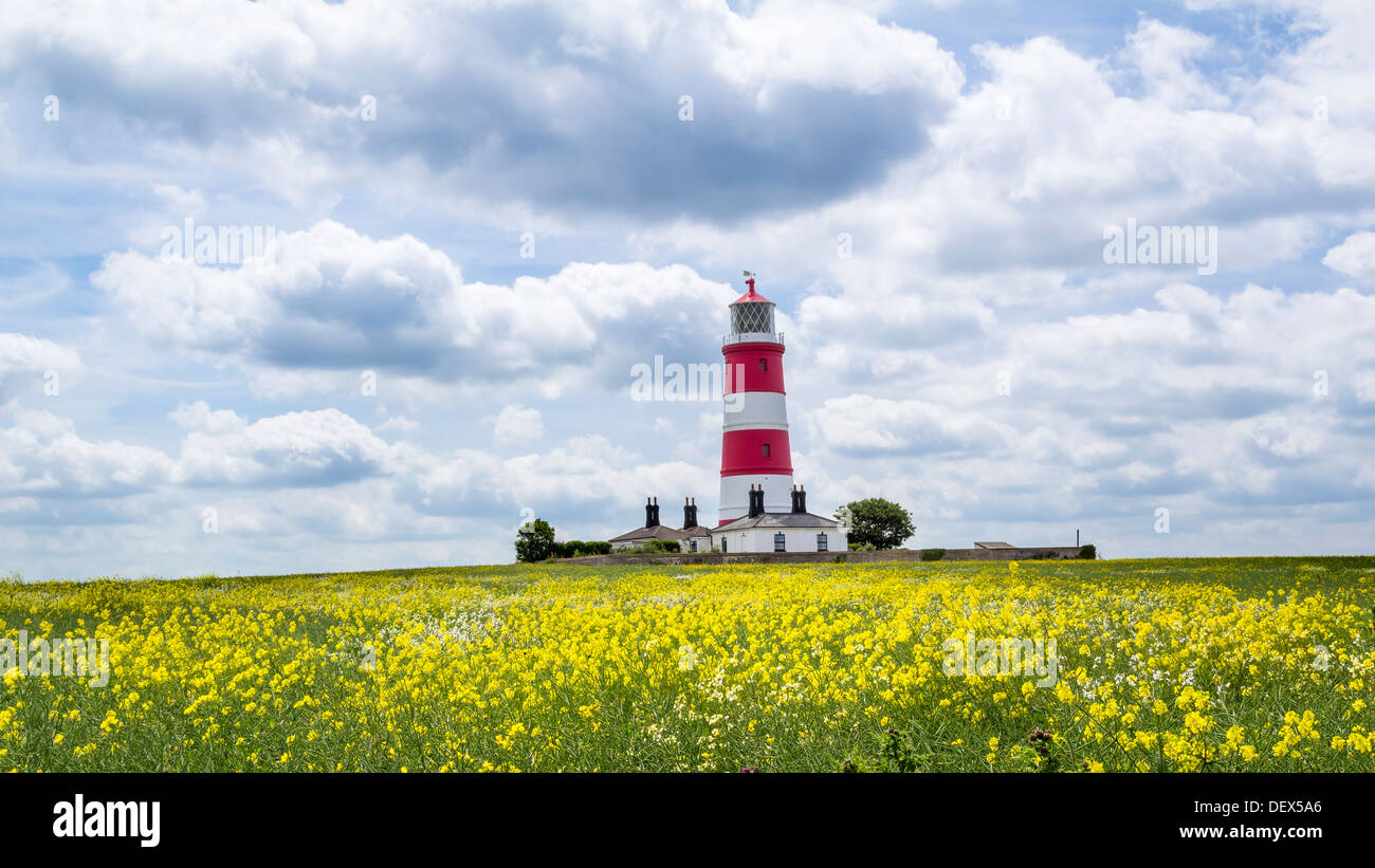 Champ coloré et Happisburgh Phare North Norfolk England UK Europe Banque D'Images