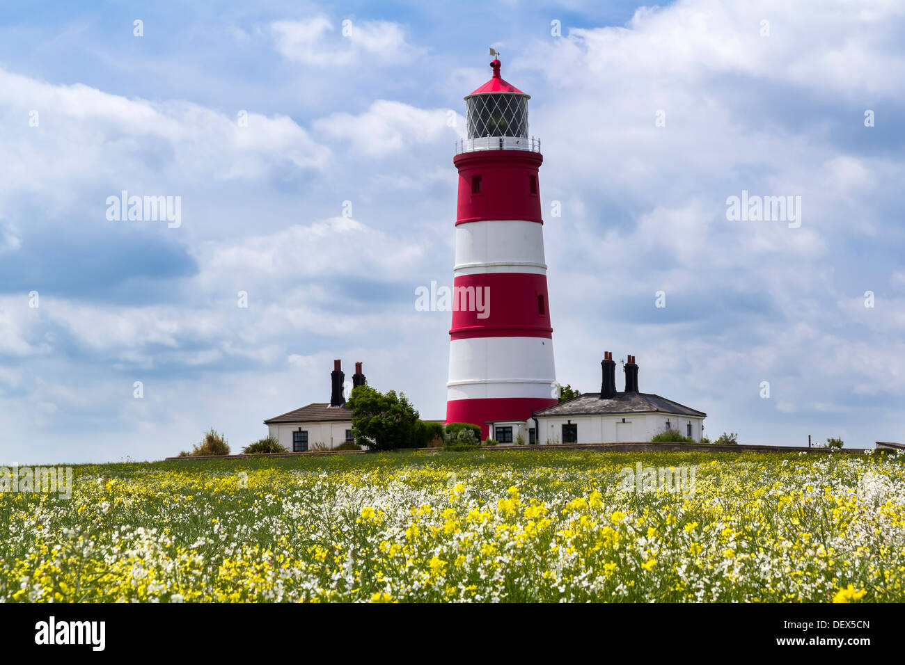 Champ coloré et Happisburgh Phare North Norfolk England UK Europe Banque D'Images