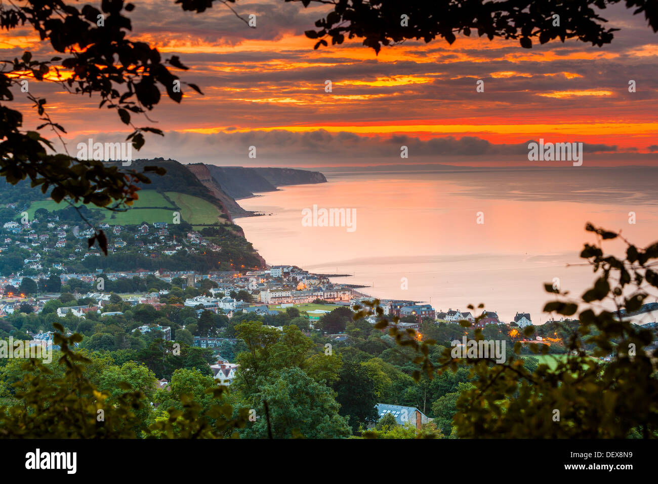 La ville de Sidmouth, Devon, Angleterre, Royaume-Uni, Europe. Banque D'Images