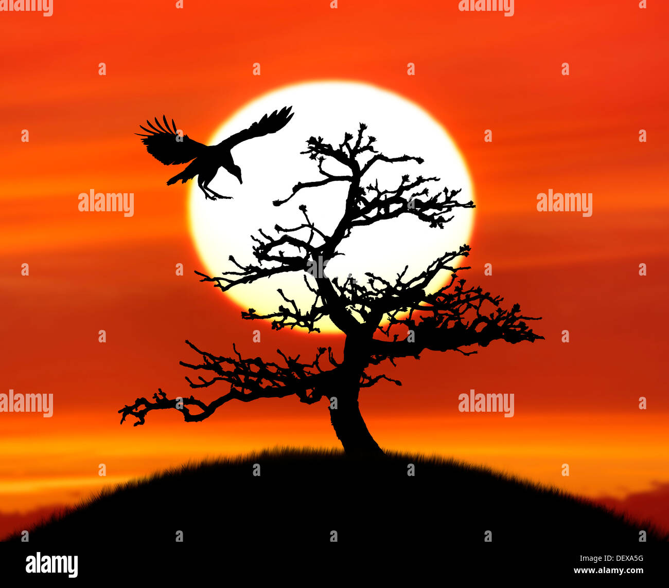 La silhouette des arbres et un oiseau contre soleil colorés Banque D'Images