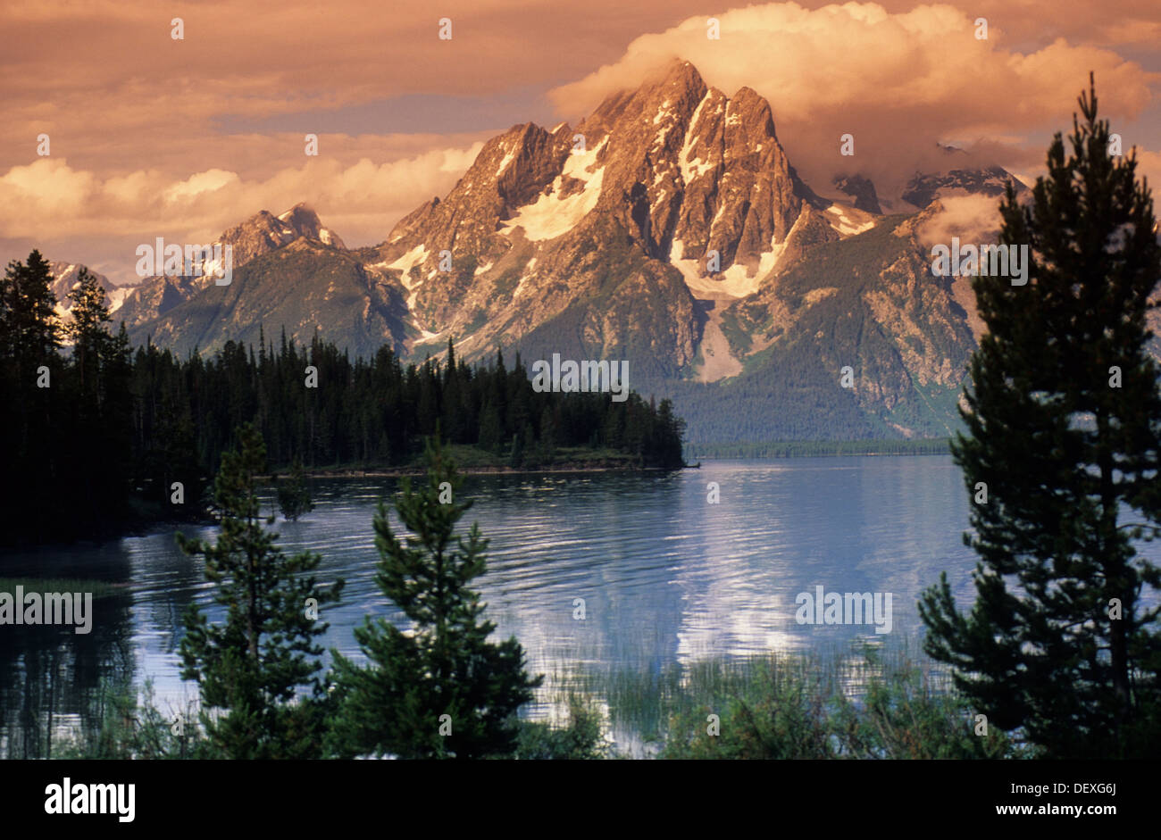 Elk266-1096 Wyoming, Grand Teton National Park, le lac Jackson avec Mt Moran Banque D'Images