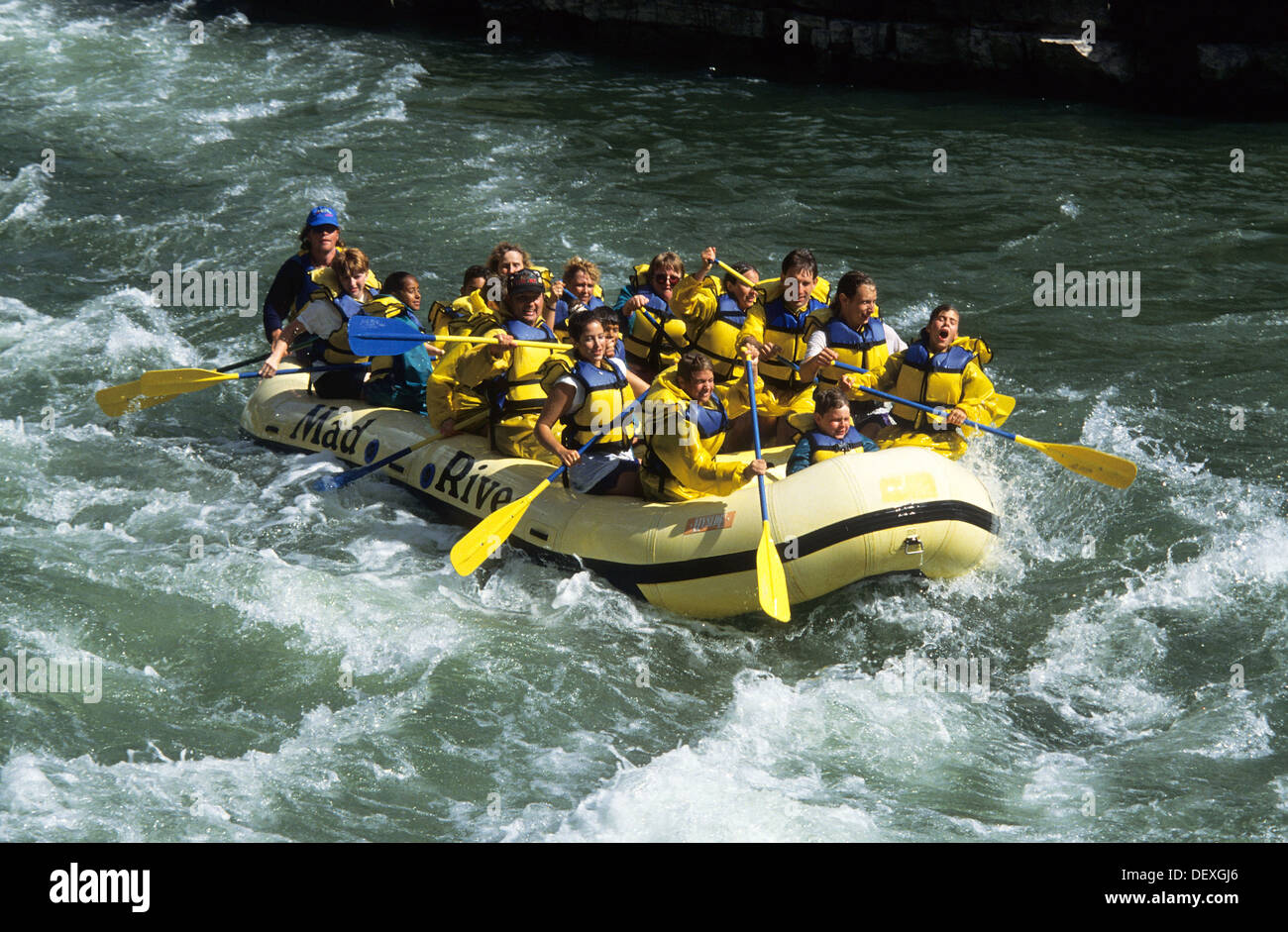 Elk266-1259, Wyoming Jackson Hole, Snake River, whitewater rafting Banque D'Images