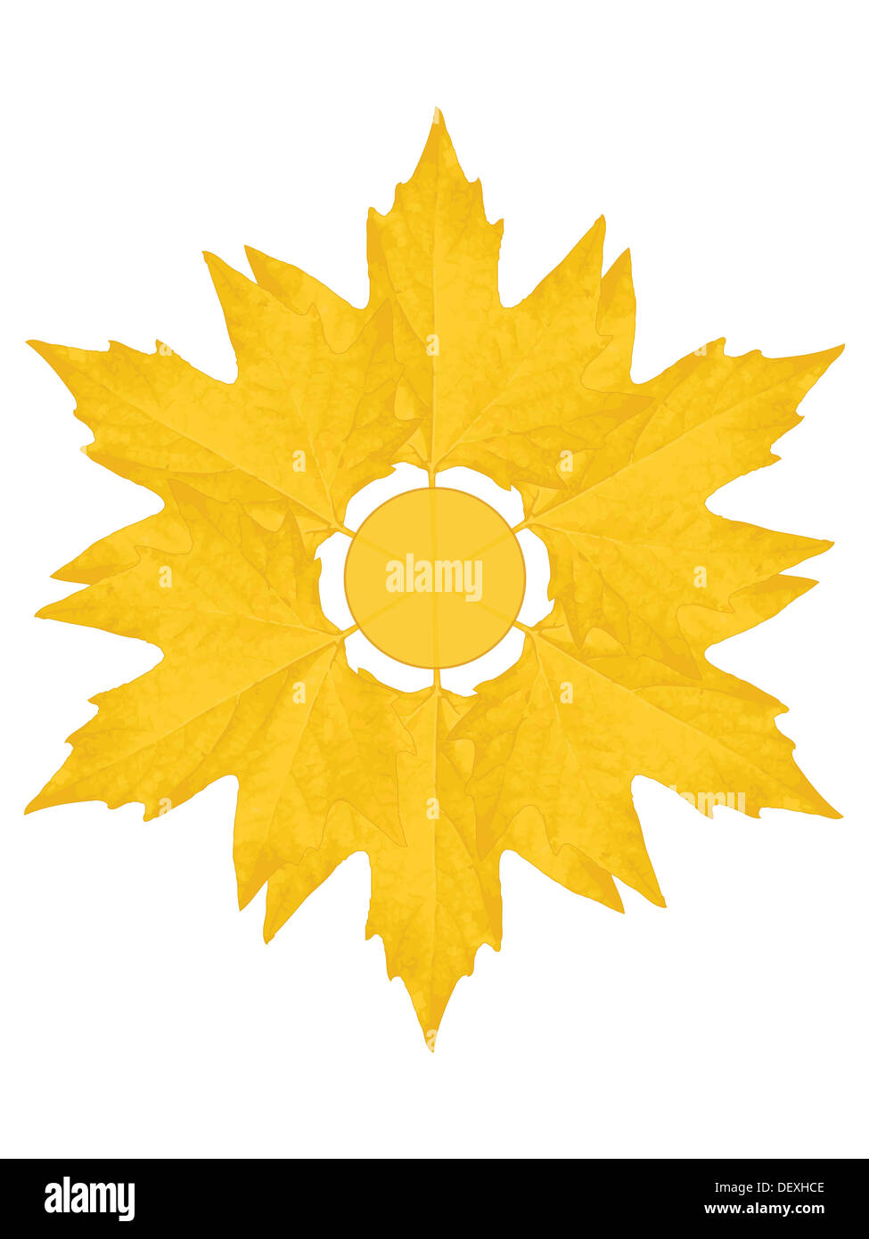 Feuilles d'érable autour de cercle pour votre texte Banque D'Images