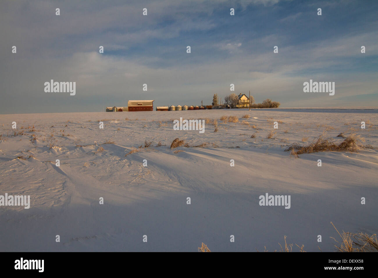 Jolie image panoramique, de l'espace rural et agricole des prairies, cour, avec le vent, la neige soufflée couverts & dérivé domaine contre ciel bleu et nuages Banque D'Images