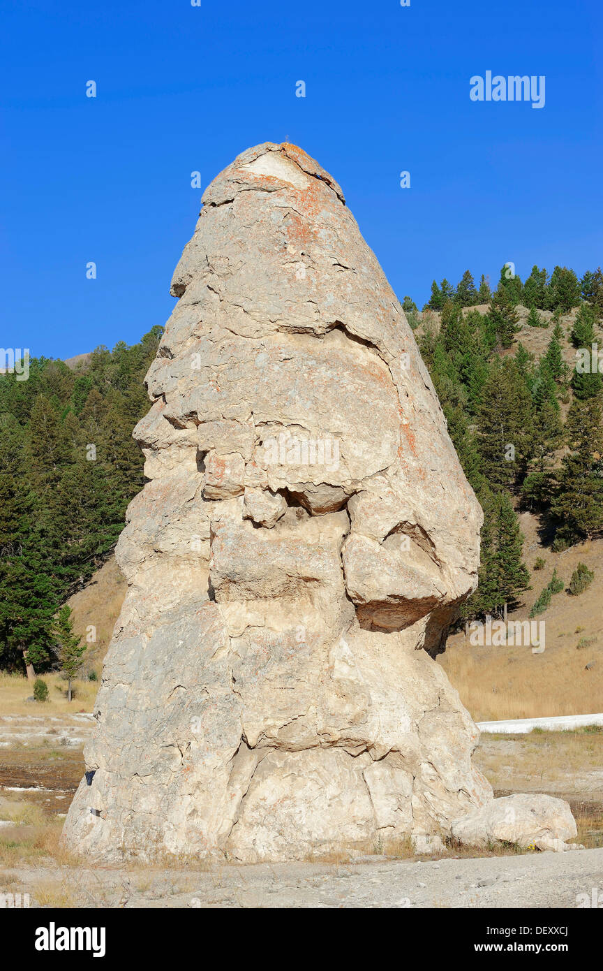 Liberty Cap, un vieux cône d'agglomérés, Mammoth Hot Springs, Parc National de Yellowstone, Wyoming, USA Banque D'Images