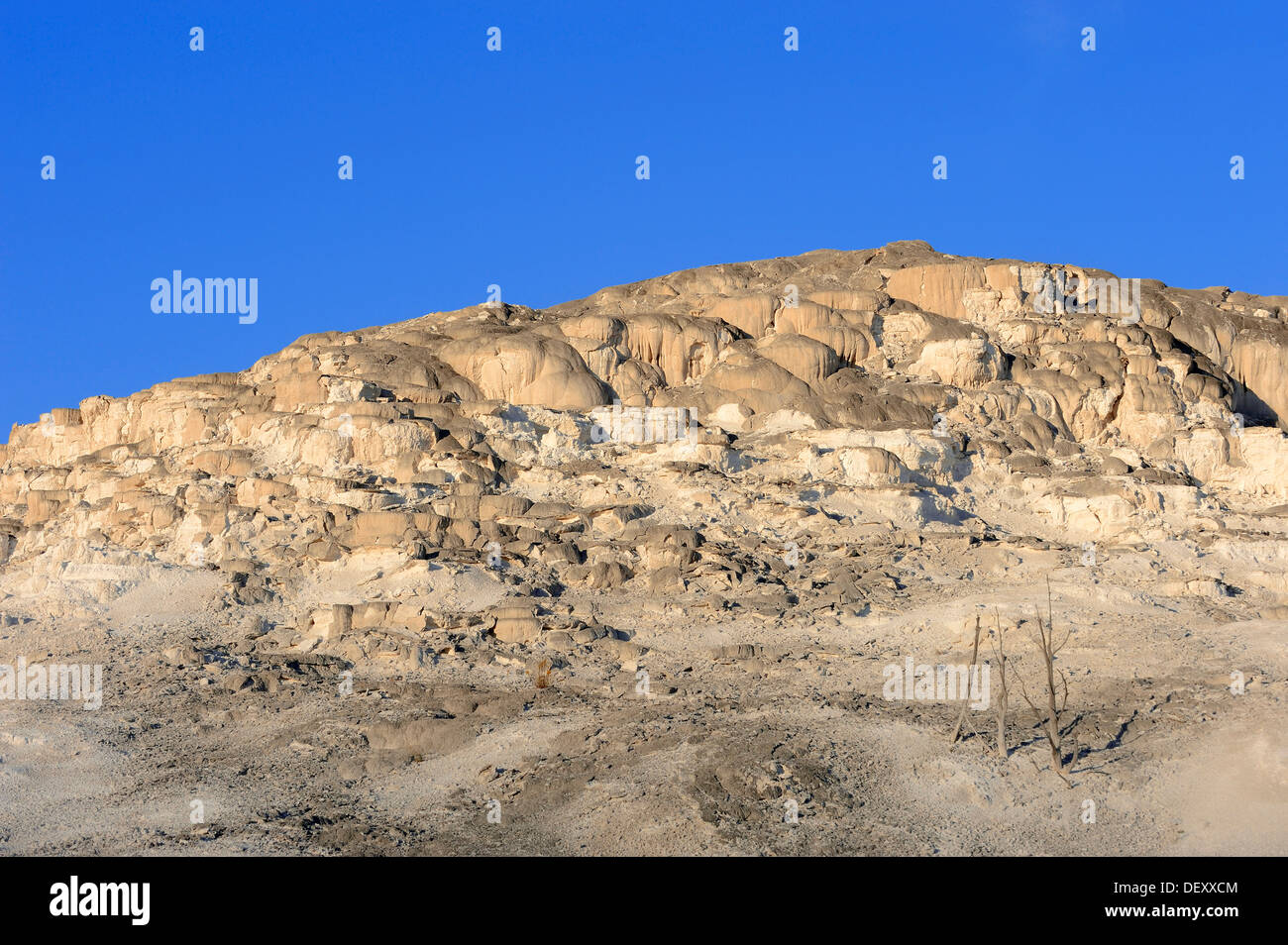 Jupiter Terrasse, Hot spring de travertin sinter terraces, Mammoth Hot Springs, Parc National de Yellowstone, Wyoming, USA Banque D'Images