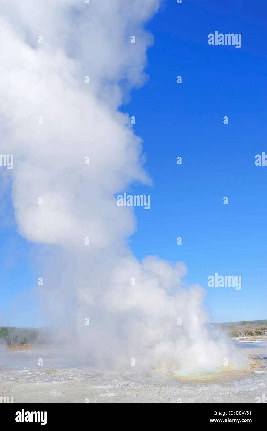 Clepsydra Geyser, Fontaine Pot de peinture salon, Parc National de Yellowstone, Wyoming, USA Banque D'Images