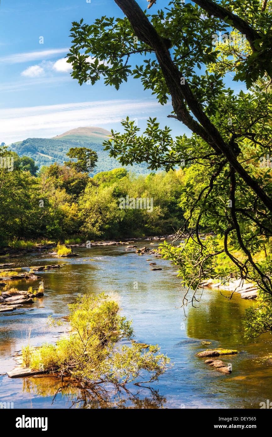 En regardant vers la rivière Usk Tor y Foel dans le parc national de Brecon Beacons, le Pays de Galles. Banque D'Images