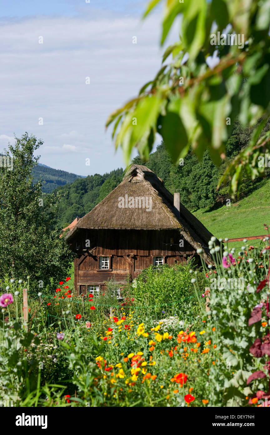 Moulin de chaume avec un Chalet jardin, Oberprechtal près de Elzach, Forêt Noire, Bade-Wurtemberg Banque D'Images