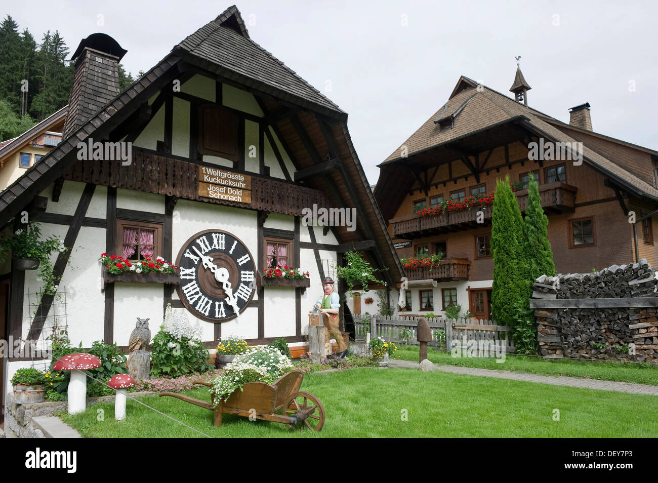 Plus grand coucou du monde, Schönwald, Forêt-Noire, Bade-Wurtemberg Banque D'Images