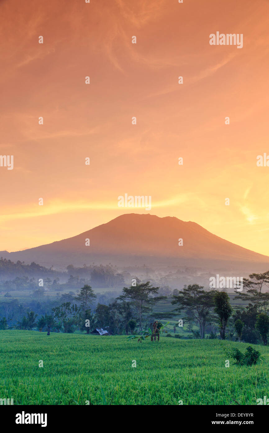 L'INDONÉSIE, Bali, la vallée de Sidemen, Iseh, les rizières et le volcan Gunung Agung Banque D'Images