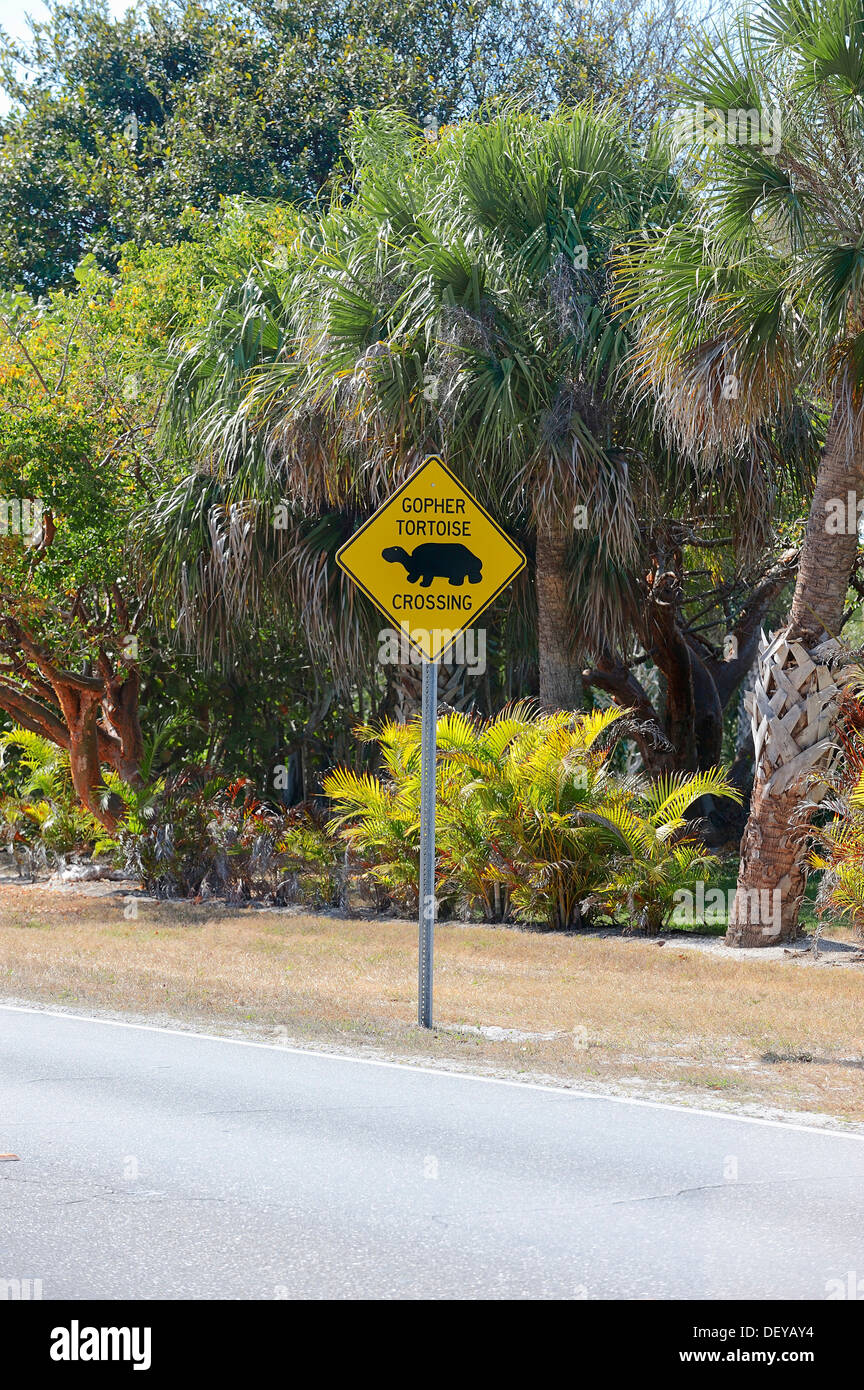 Panneau d'avertissement, gopher tortues qui traversent la route, Sanibel Island, Florida, United States Banque D'Images