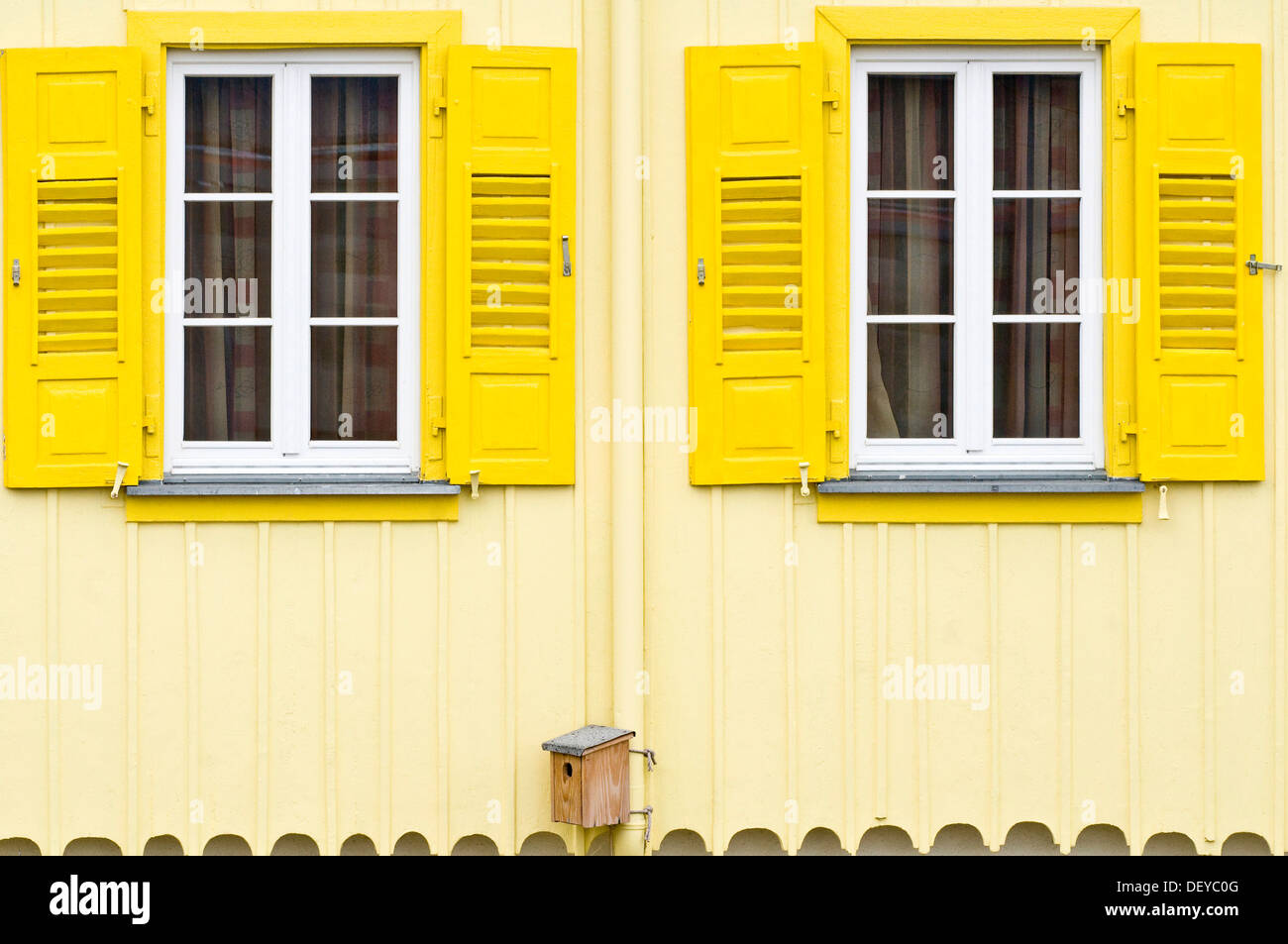 Façade de maison jaune avec des volets et d'un nichoir, Freiburg im Breisgau, Forêt-Noire, Bade-Wurtemberg Banque D'Images