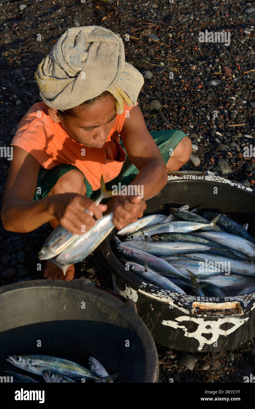 L'Indonésie, l'île de Bali, village de pêcheurs d'Amed, femme le tri après son retour de la pêche Banque D'Images