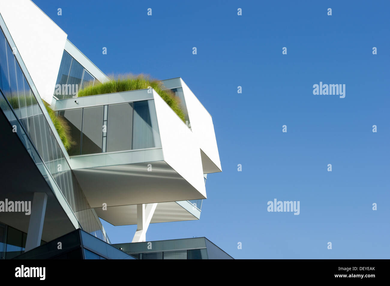 Actelion Centre d'affaires, conçu par les architectes Herzog & de Meuron,  Basel, Bâle, Suisse Photo Stock - Alamy