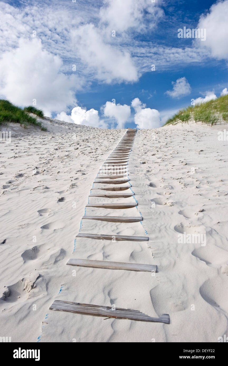 Dunes, plage de sable blanc et les étapes, Kniepsand, Amrum, Amrum, au nord de l'archipel Frison, Schleswig-Holstein, Allemagne Banque D'Images