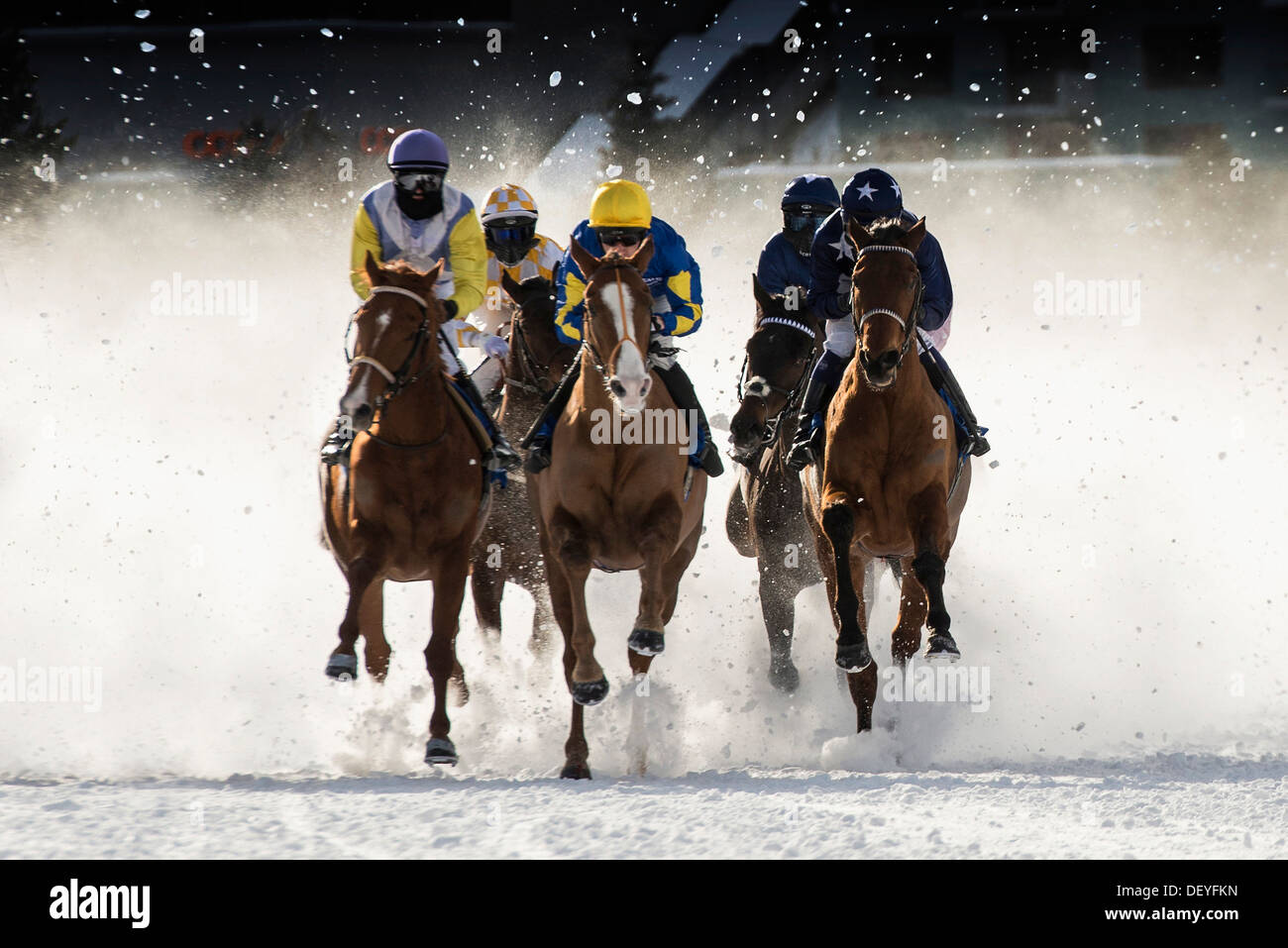 Les courses de chevaux sur un lac gelé, Saint-Moritz, Engadine, Grisons, Suisse Banque D'Images