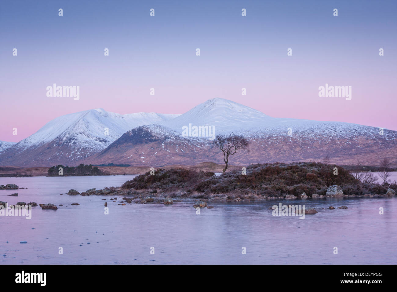 Scène d'hiver, avec pré aube lumière, Lochan Na H-Achlaise, Rannoch Moor, Ecosse, Royaume-Uni Banque D'Images