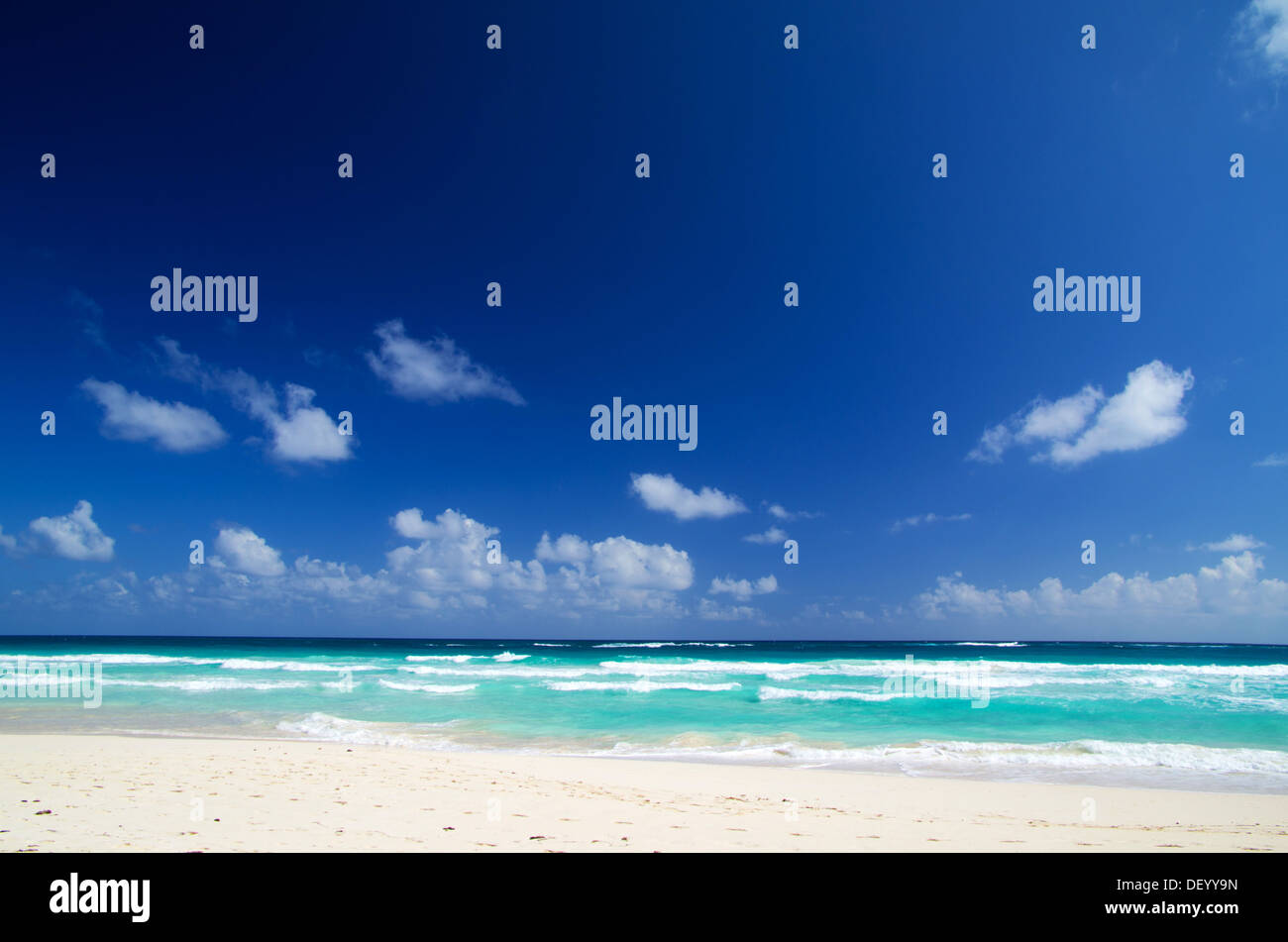 Belle plage et mer tropical Banque D'Images