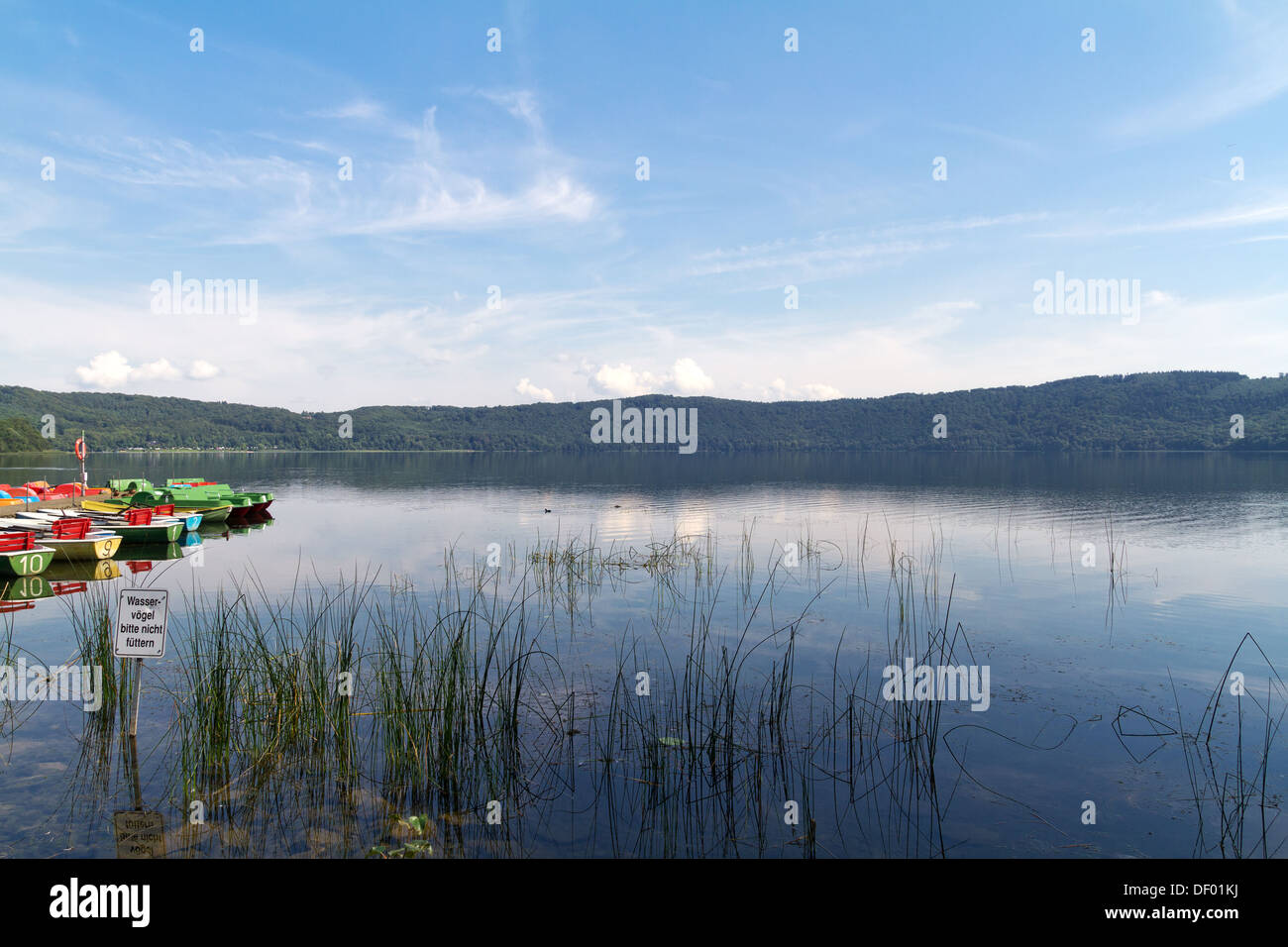 Voir Laacher, Laach Lake, région de Vulkaneifel, Rhénanie-Palatinat, Allemagne, Europe Banque D'Images