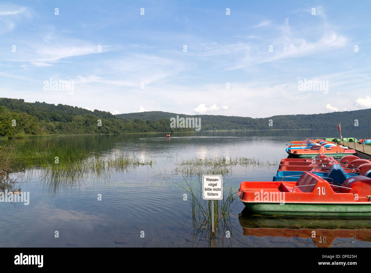Voir Laacher, Laach Lake, région de Vulkaneifel, Rhénanie-Palatinat, Allemagne, Europe Banque D'Images