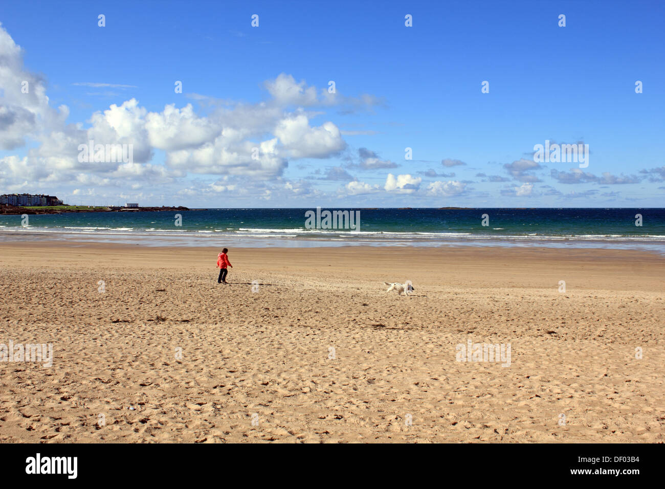 Woman walking dog on the Strand plage de station côtière de Portrush, comté d'Antrim, en Irlande du Nord, Royaume-Uni. Banque D'Images