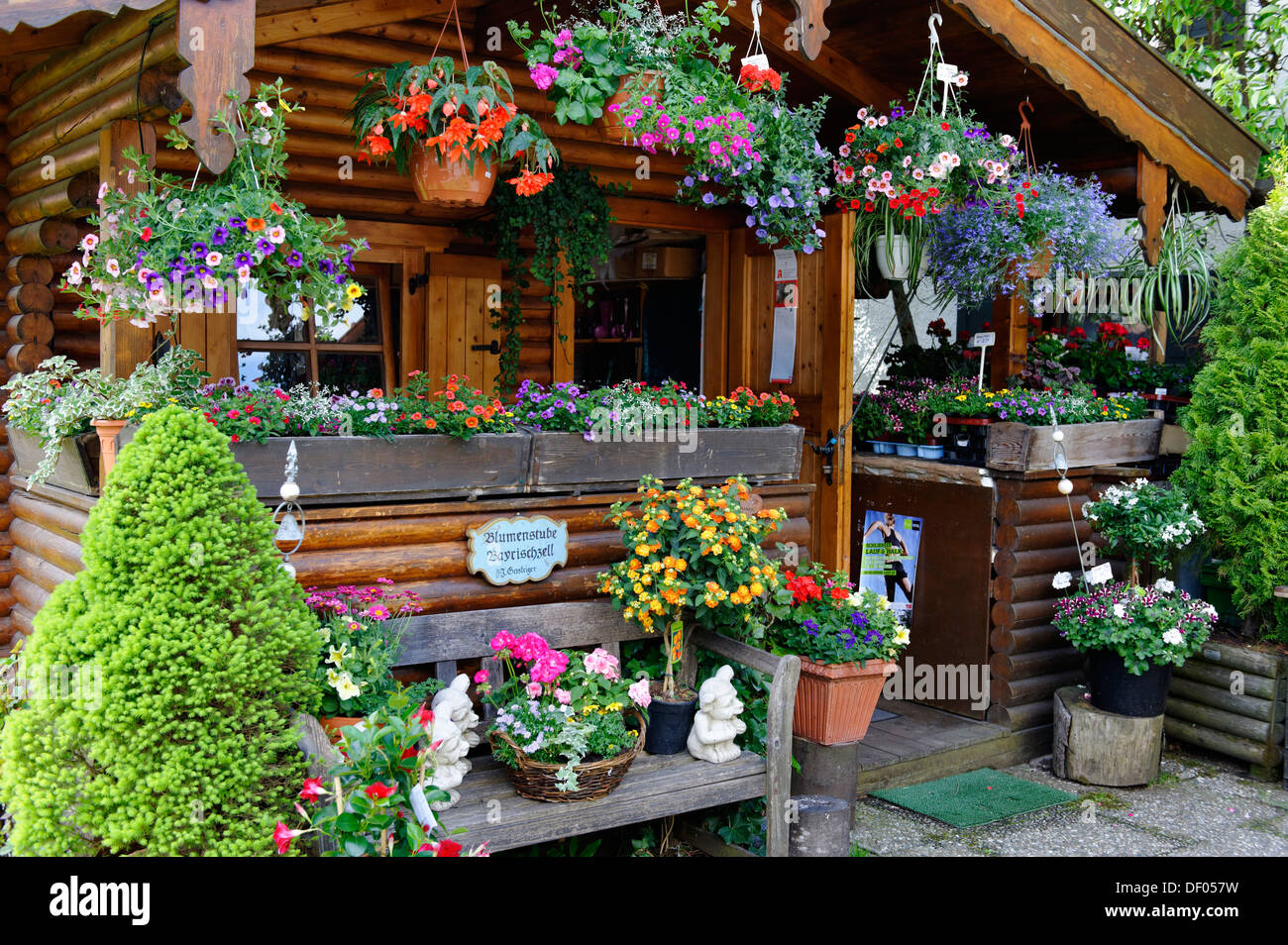 La grange aux fleurs, fleuriste, Pecs dans la vallée Leitzachtal, Haute-Bavière, Bavière Banque D'Images