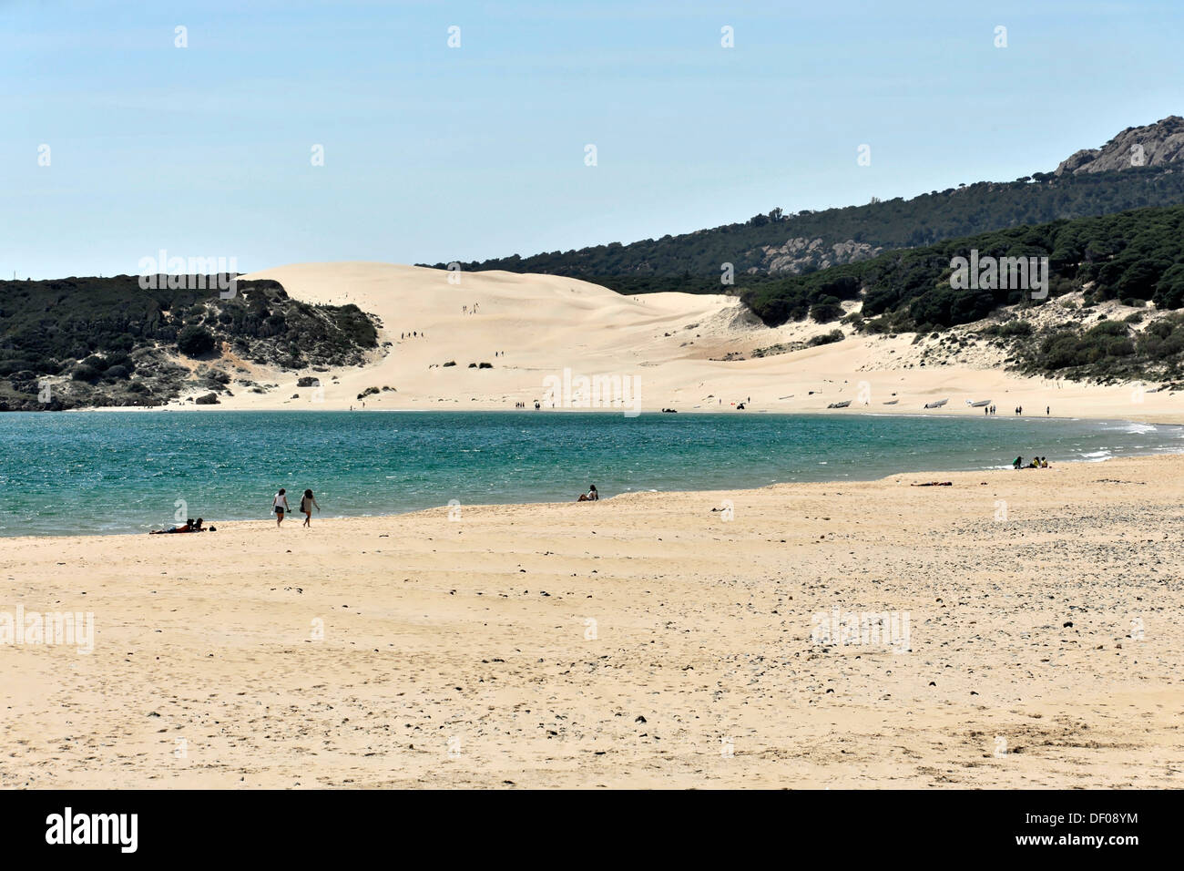 Plage pour les bains de soleil et de surf à proximité de Baelo Claudio, entre Cadix et Tarifa, Andalousie, Espagne, Europe Banque D'Images