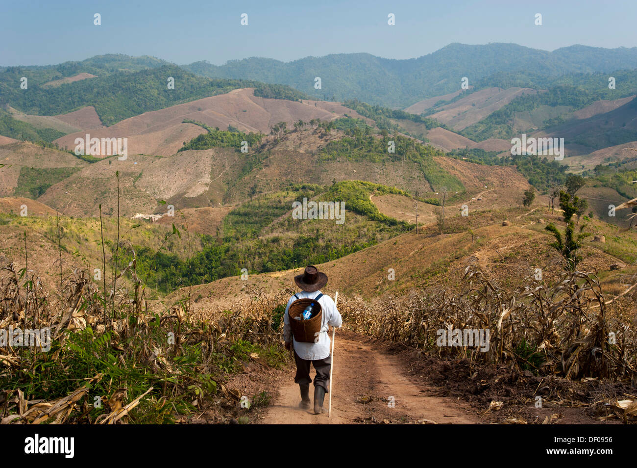 Un homme âgé avec un panier et un chapeau, chef de la tribu des gens de montagne de la minorité ethnique hmong, sur un sentier Banque D'Images