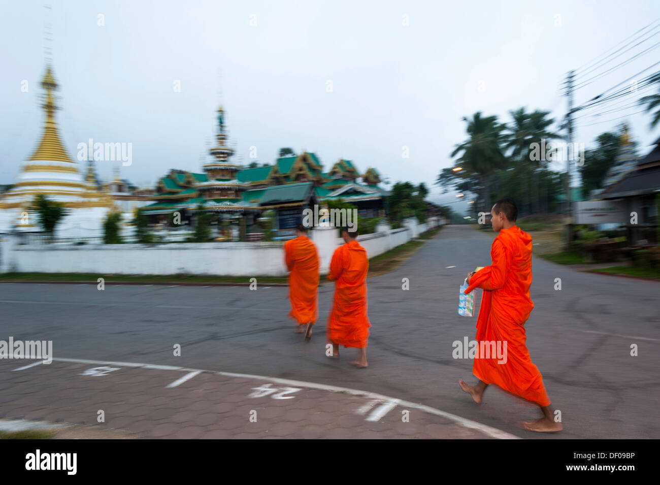 La collecte de l'aumône des moines bouddhistes, des temples de Wat Jong Kham et Wat Chong Kham ou Jong Klang et Chong Klang, Mae Hong Son Banque D'Images